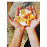 Riviera by Bastien Lattanzio