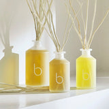 Sky Fig Willow Diffuser