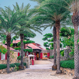 Stuart Cantor - Eden Rock