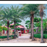 Stuart Cantor - Eden Rock