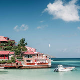 Stuart Cantor - Rouge & Blanc