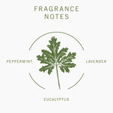Geranium Hand & Body Lotion